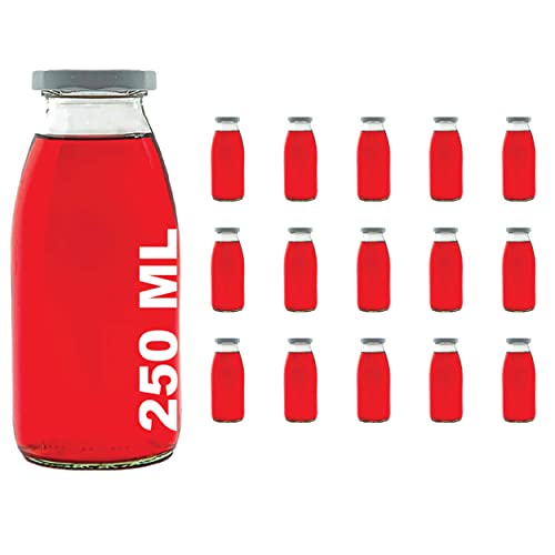casavetro slkfactory 15 x 250 ml Smoothie Bouteille Bouteilles en