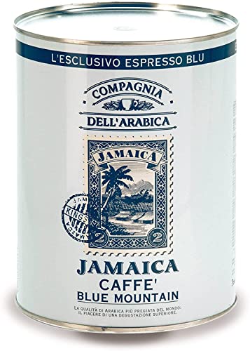 Caffè Corsini -Compagnia dell'Arabica|Café en grains Jamaica Blue Mountain 100%