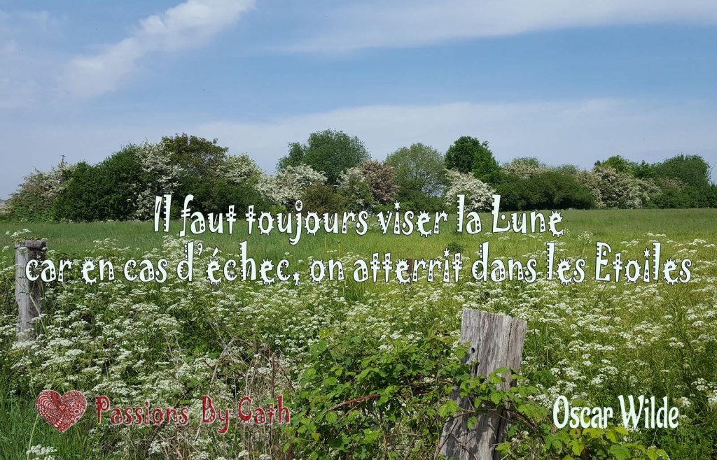 Citation 202010 - Il faut toujours viser la lune