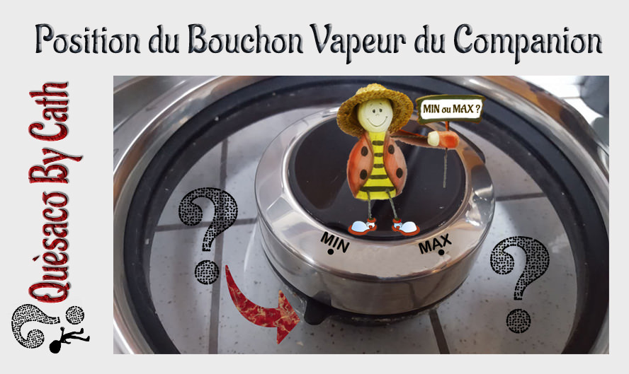 Bouchon Vapeur Companion