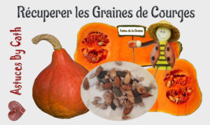 Récupérer et conserver les graines de courges