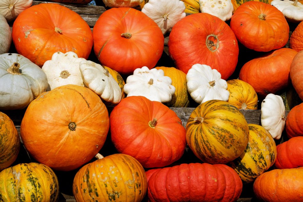 Passions By Cath Conservez vos graines de courges ! Les 4 atouts de leur consommation. pumpkins 2714744 1920 1