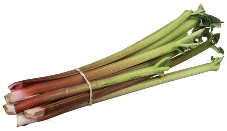 RHUBARBE