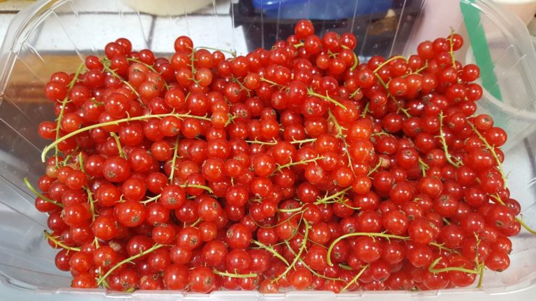 Groseilles