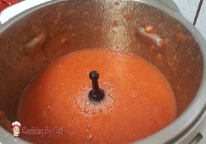 Concentré de Tomates au COMPANION