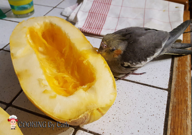 Courge Spaghetti - Perruche & calopsitte se régalent