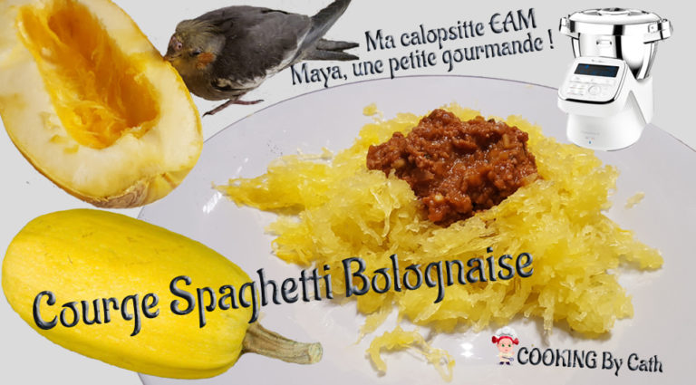 Courge Spaghetti Bolognaise