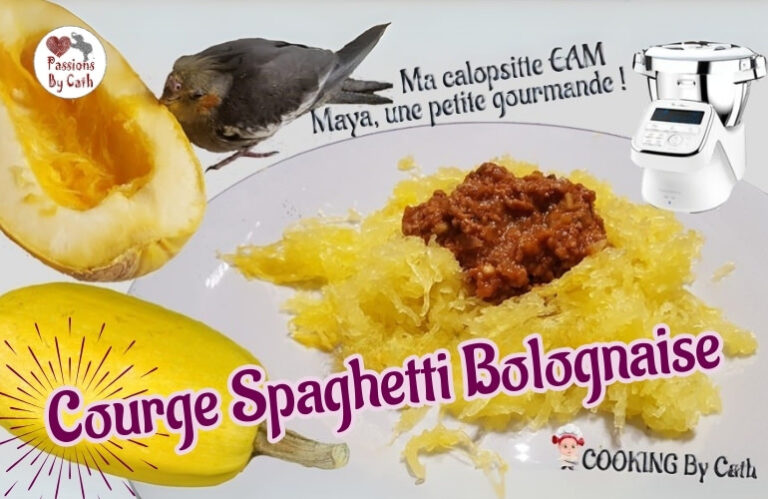 Courge Spaghetti Bolognaise