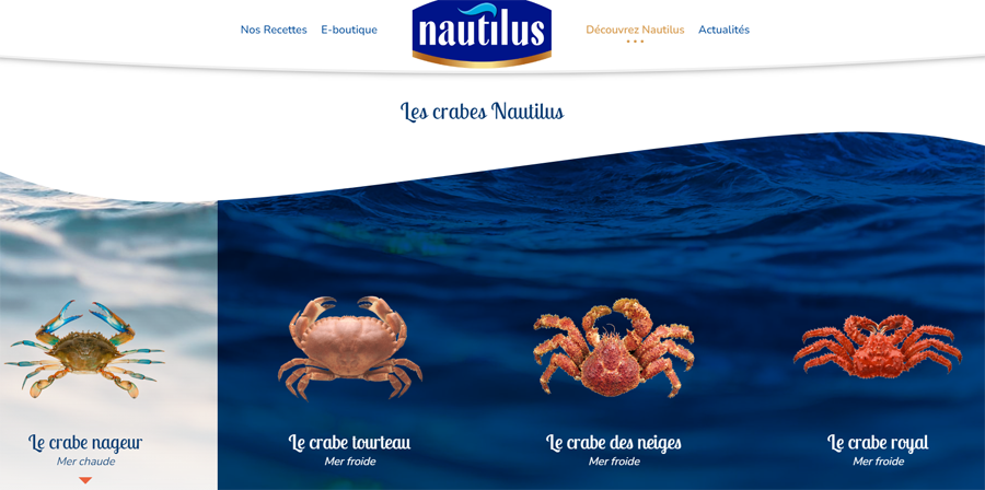 Nautilus - les 4 espèces de crabe