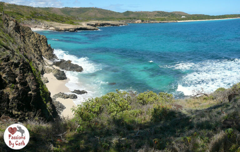 MARTINIQUE - photo de paysage
