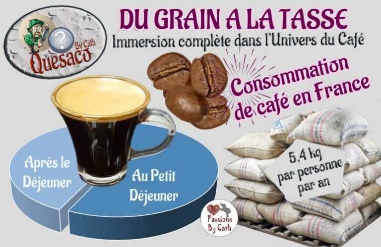 02 - Du Grain à la tasse : Immersion complète dans l'univers fascinant du café - Quelques chiffres