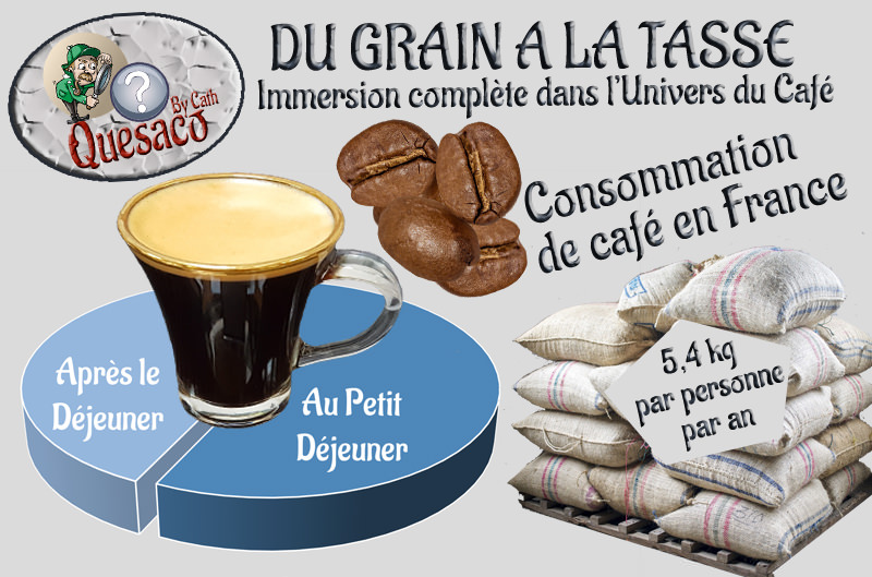 02 - Du Grain à la tasse : Immersion complète dans l'univers fascinant du café - Quelques chiffres