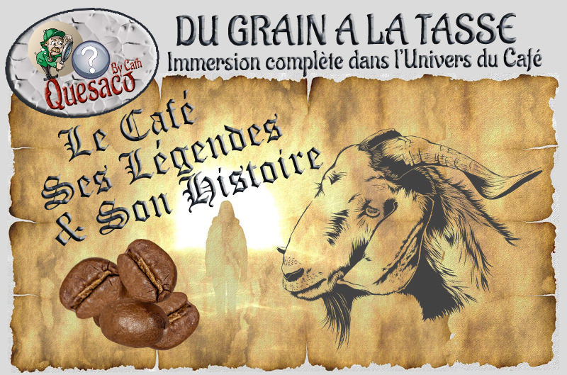 03 - Du Grain à la tasse : Immersion complète dans l'univers fascinant du café - Le café, ses légendes et son histoire