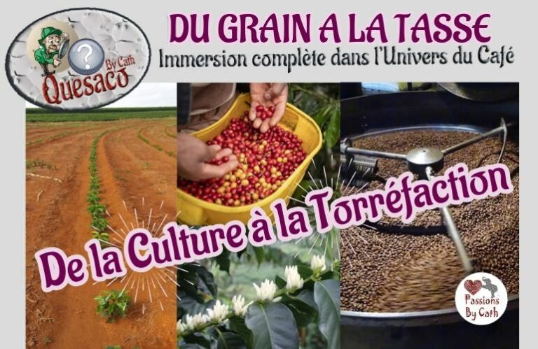 05 - Du Grain à la tasse : Immersion complète dans l'univers fascinant du café - Production du café, de la culture à la torréfaction