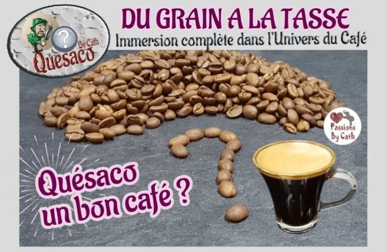 06 - Du Grain à la tasse : Immersion complète dans l'univers fascinant du café - Quésaco un bon café ?