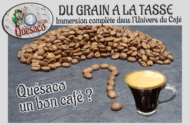 06 - Du Grain à la tasse : Immersion complète dans l'univers fascinant du café - Quésaco un bon café ?