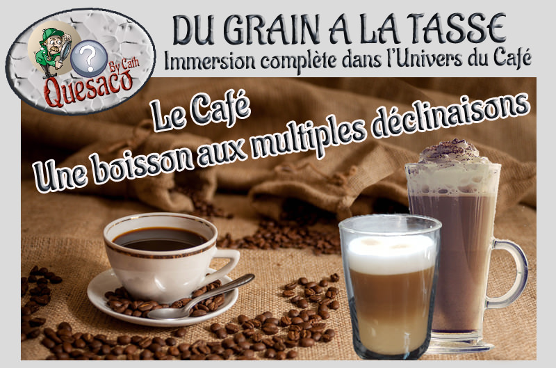 07 - Du Grain à la tasse : Immersion complète dans l'univers fascinant du café - Le café, une boisson aux multiples déclinaisons