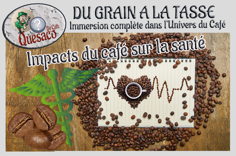 08 - Du Grain à la tasse : Immersion complète dans l'univers fascinant du café - Le café & ses impacts sur la santé