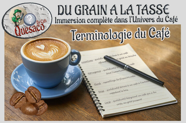 09 - Du Grain à la tasse : Immersion complète dans l'univers fascinant du café - Le café & ses terminologies