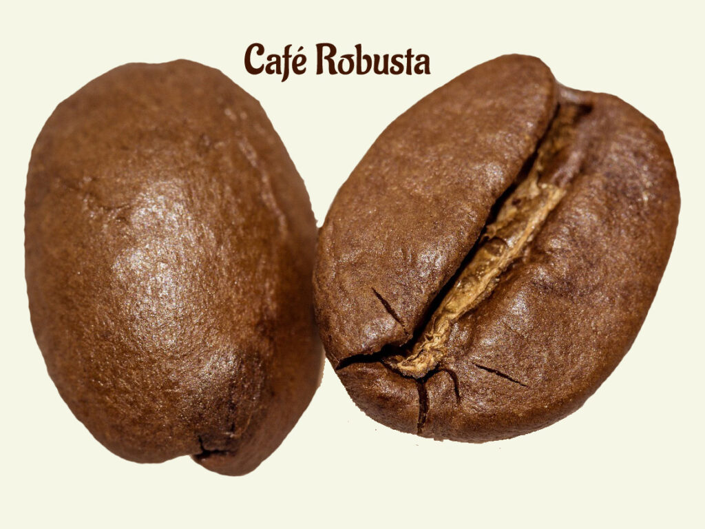 Passions By Cath Comment choisir sa machine à café avec broyeur intégré ? cafe ROBUSTA sillon droit 1