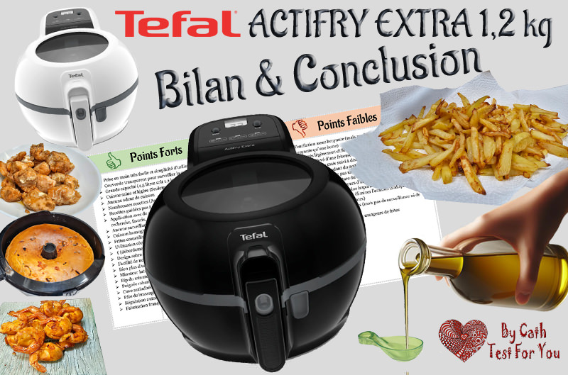 Bilan & Conclusion de mon test de l’Actifry Extra 1,2 kg de Tefal