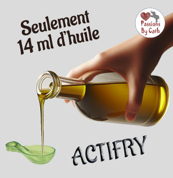Friteuse Actifry, seulement 14 ml d'huile