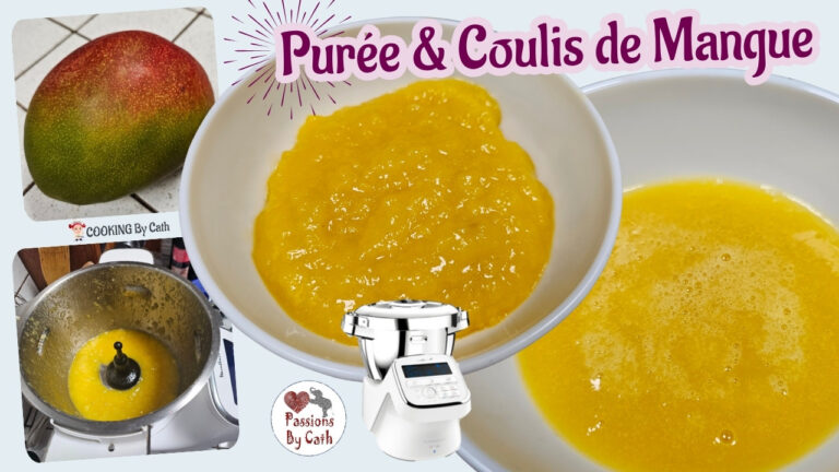 purée ou coulis de mangue au Companion