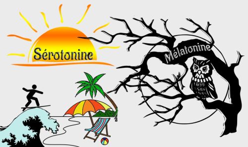 Les hormones responsables du sommeil et de l'éveil : sérotonine - mélatonine